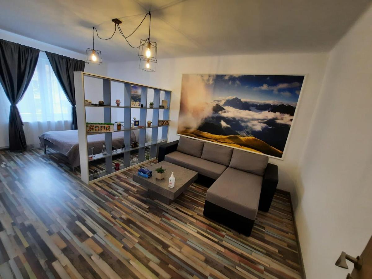 Croma Studio Petrosani Appartamento Esterno foto