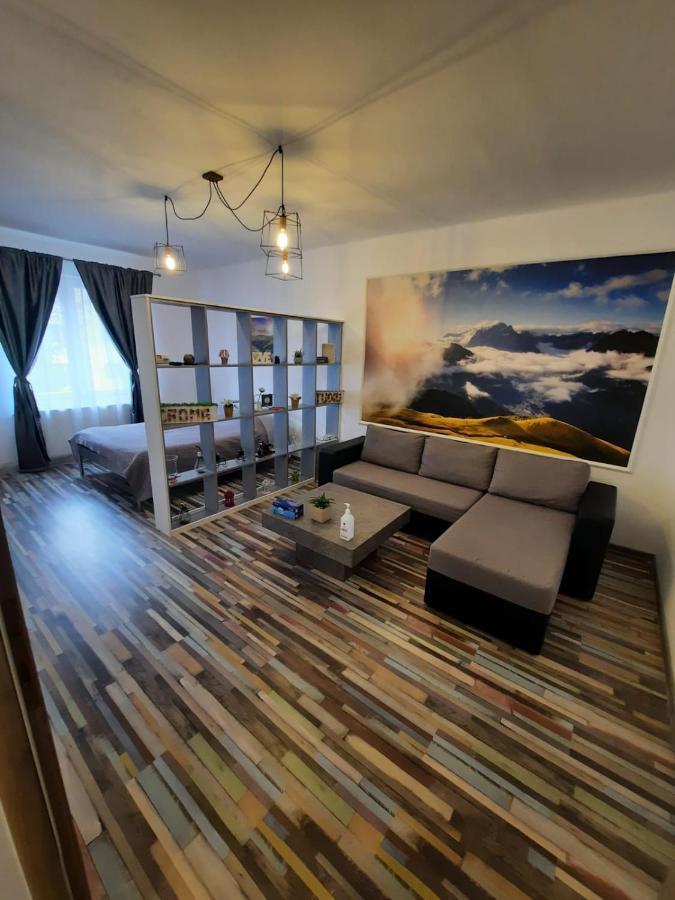 Croma Studio Petrosani Appartamento Esterno foto