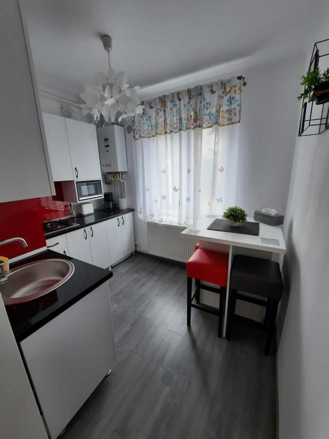 Croma Studio Petrosani Appartamento Esterno foto